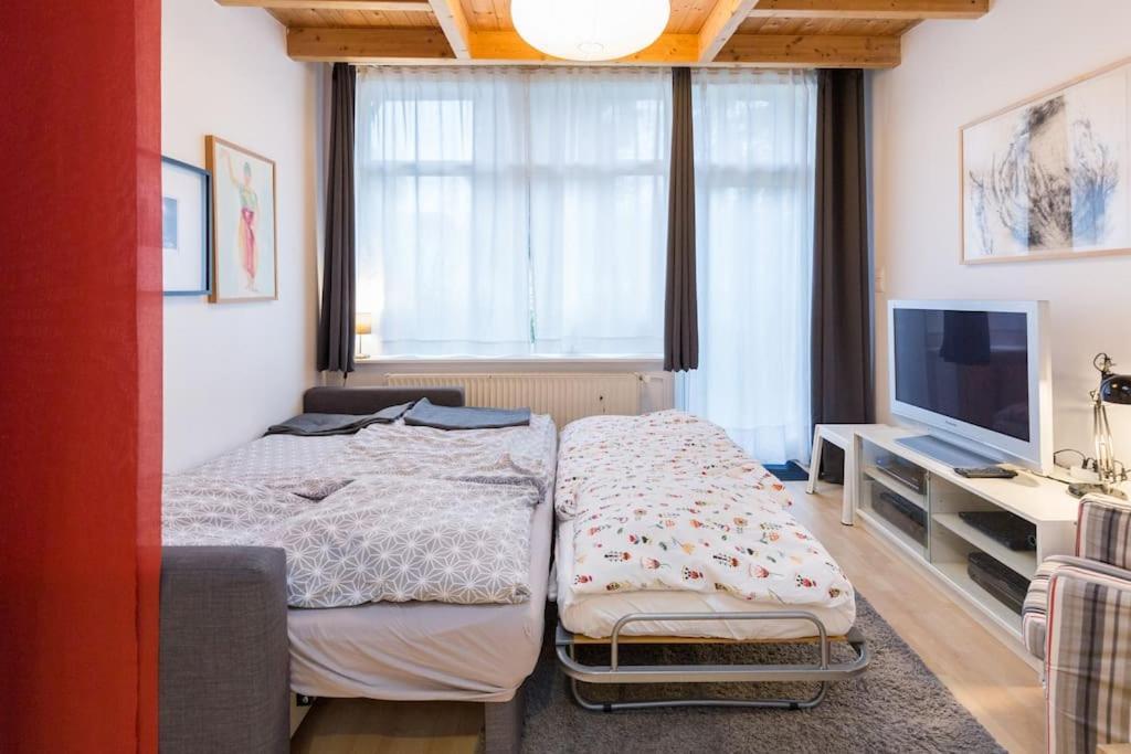 Apartment Wilhelmstr Fuer Bis Zu 3 Personen Brühl Exteriör bild
