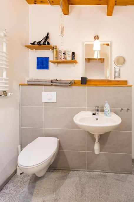 Apartment Wilhelmstr Fuer Bis Zu 3 Personen Brühl Exteriör bild